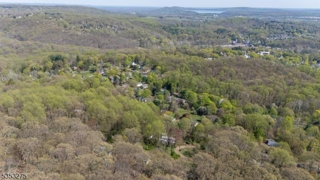 aerial overview of property's location with a forest