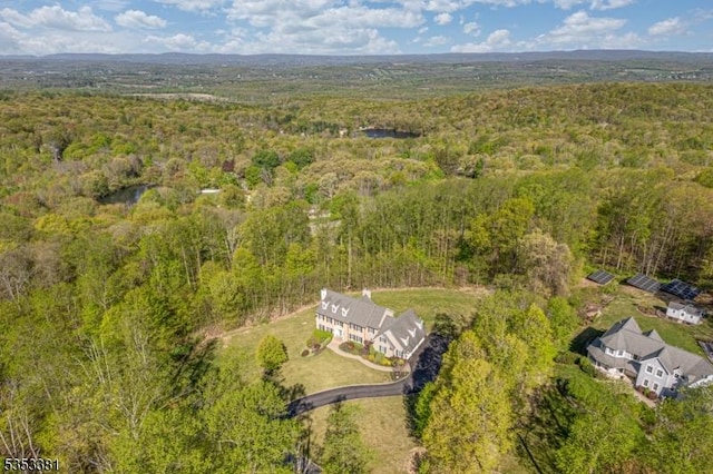 14 Jenny Ln, Vernon Twp, NJ 07461 - birds eye view of property featuring a view of trees