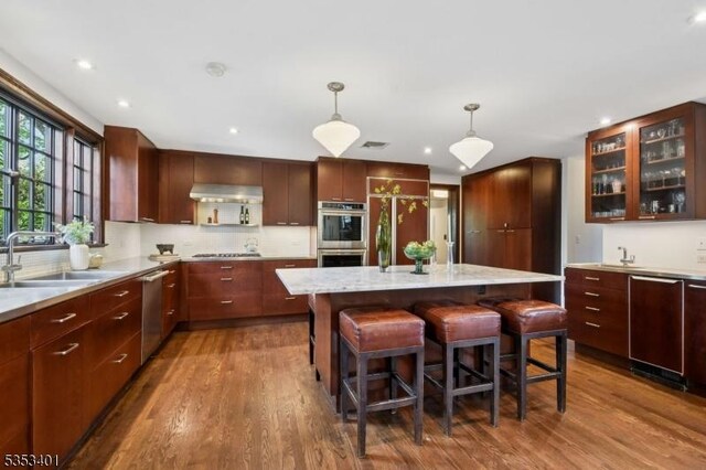 kitchen with a sink, appliances with stainless steel finishes, dark wood finished floors, range hood, and recessed lighting