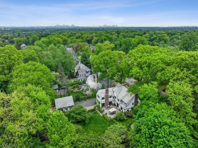 aerial view of a forest