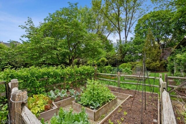 view of yard with a vegetable garden