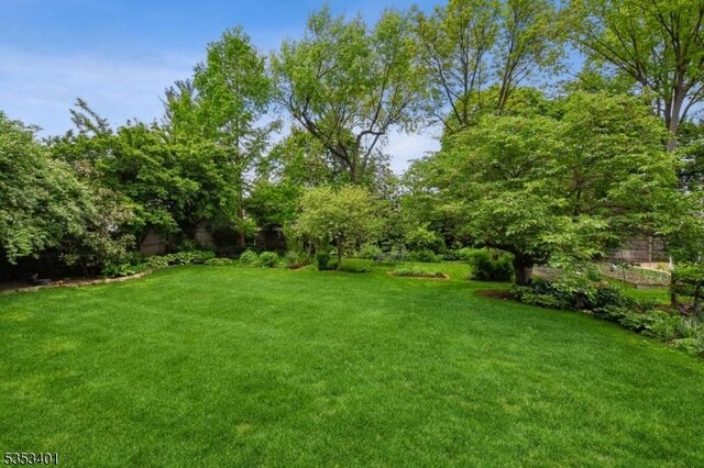 view of green lawn