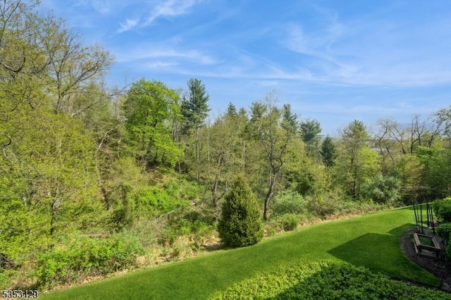 view of yard with a wooded view