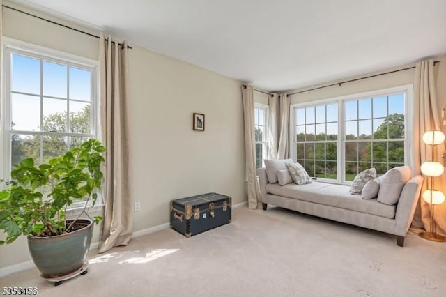 sitting room featuring carpet floors and baseboards
