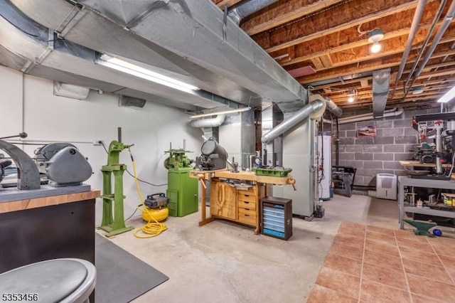 unfinished below grade area featuring gas water heater and concrete block wall