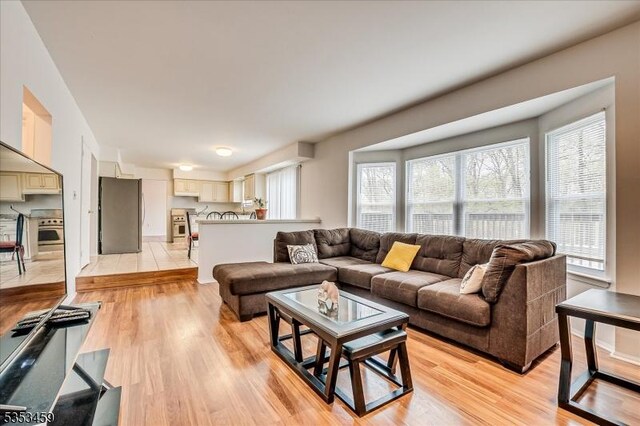 living room with light wood-type flooring