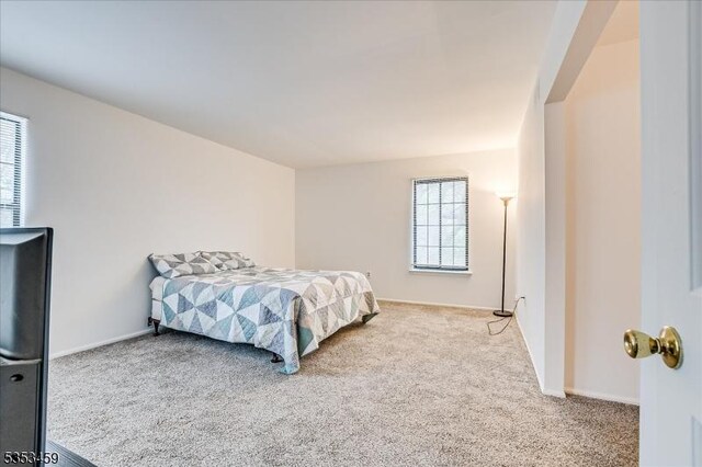 bedroom featuring carpet floors, multiple windows, and baseboards