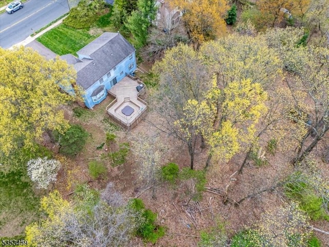 bird's eye view