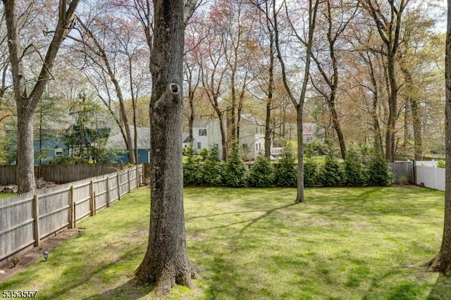 view of yard with fence private yard