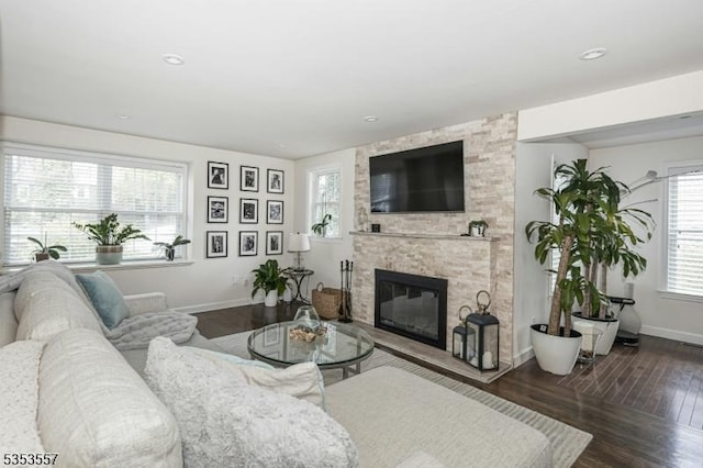 living area featuring baseboards, wood finished floors, and a fireplace