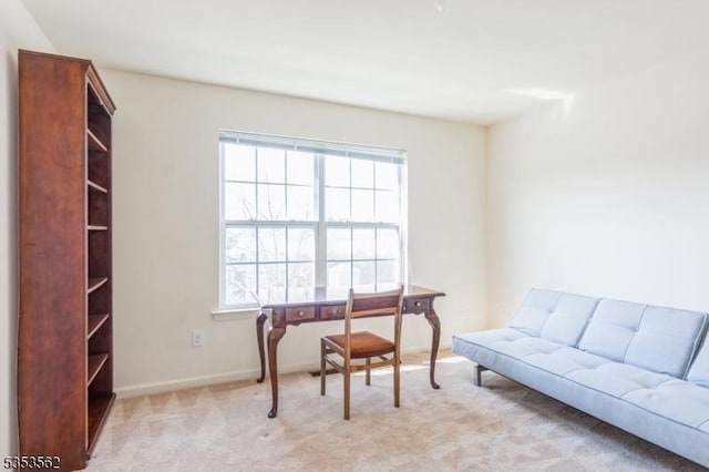 23 Schenck Ln, Franklin Twp, NJ 08873 - office with plenty of natural light, baseboards, and light carpet