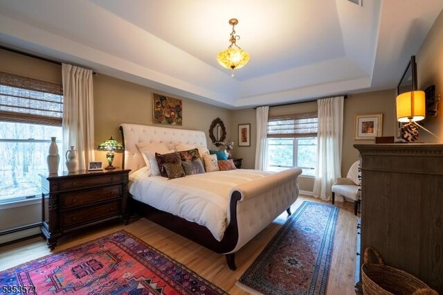 2 Natale Dr, Sparta Twp, NJ 07871 - bedroom featuring light wood-type flooring, a raised ceiling, and a baseboard heating unit