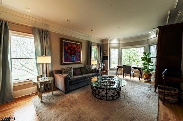 2 Natale Dr, Sparta Twp, NJ 07871 - living room featuring baseboards, ornamental molding, and light wood finished floors