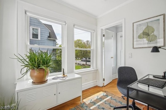 office featuring crown molding and baseboards