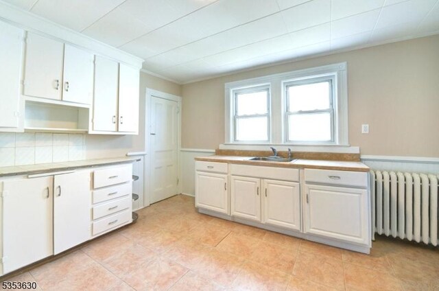 kitchen featuring white cabinets, wainscoting, a sink, radiator heating unit, and ornamental molding