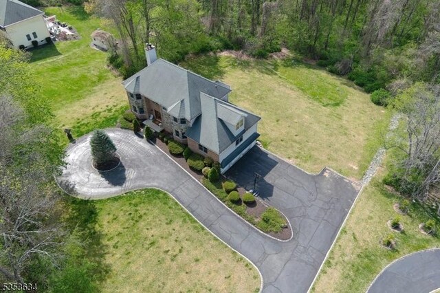 bird's eye view