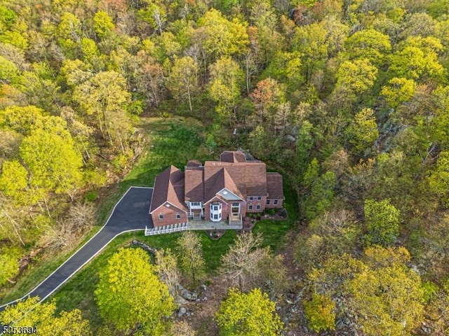 aerial view with a view of trees