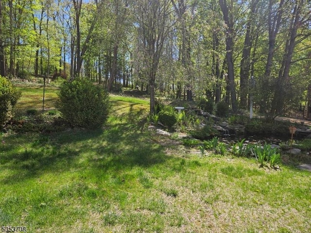 view of yard