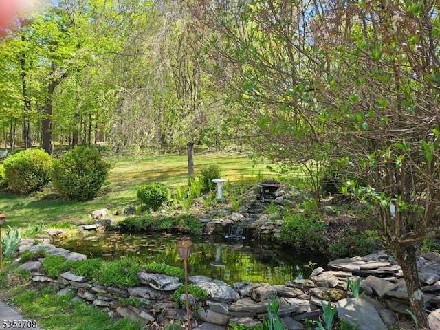 view of local wilderness