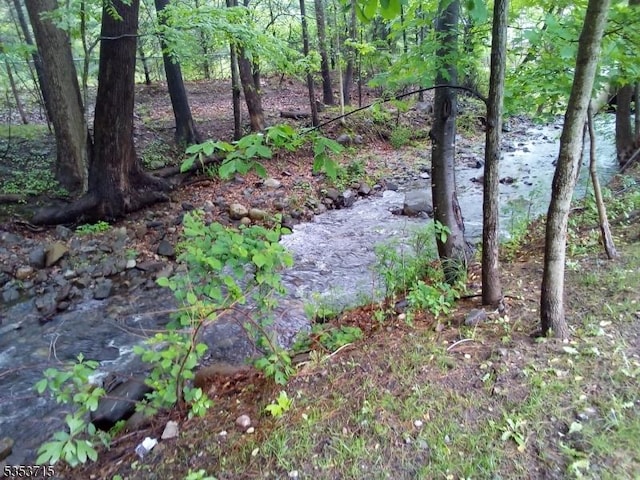 4202 Schindler Ln Unit 4202, Wayne Twp, NJ 07470 - view of nature