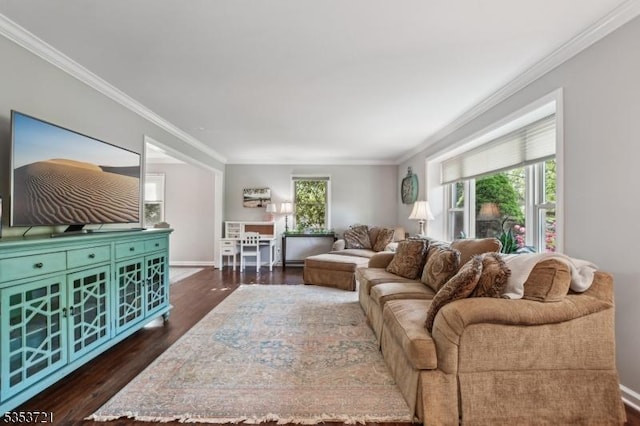living area featuring baseboards, dark wood-style flooring, and crown molding