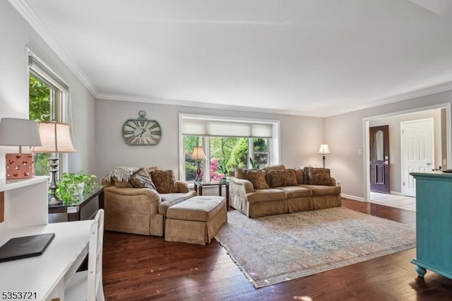 living room featuring ornamental molding and wood finished floors