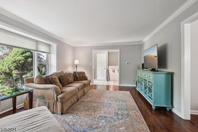 living room featuring wood finished floors, baseboards, and ornamental molding