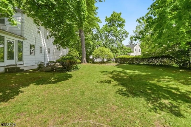 view of green lawn