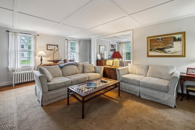 living room featuring radiator heating unit and carpet