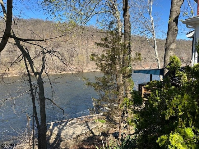 view of water feature featuring a view of trees