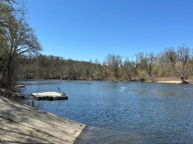 dock area with a forest view and a water view