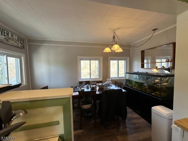 dining space featuring crown molding and dark wood-style floors