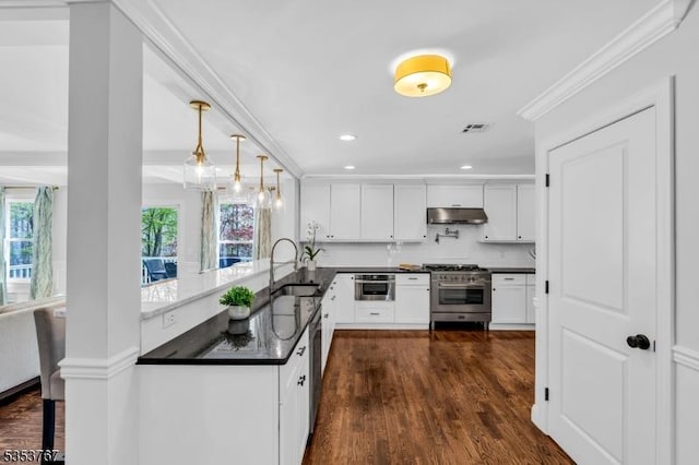 kitchen featuring visible vents, ornamental molding, dark wood-style floors, under cabinet range hood, and stainless steel appliances