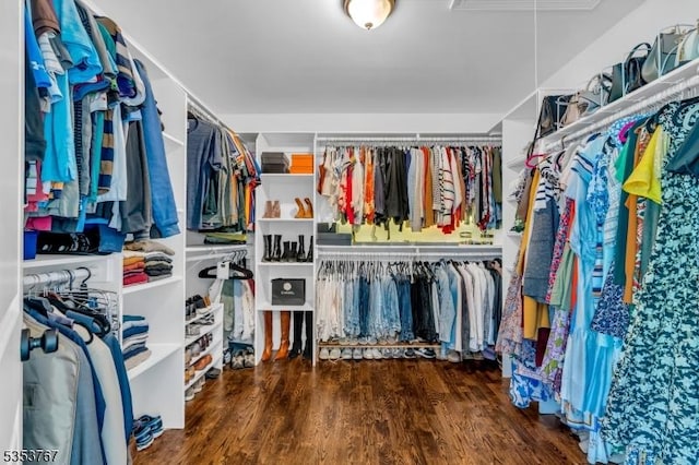 spacious closet featuring wood finished floors