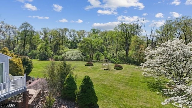 view of grassy yard
