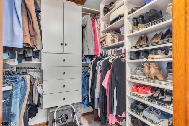 view of spacious closet