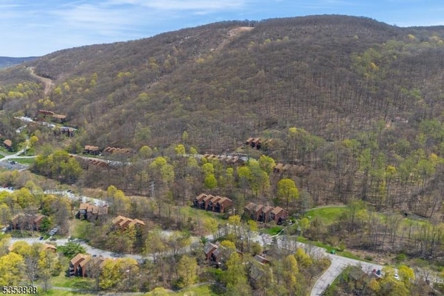 property view of mountains featuring a forest view