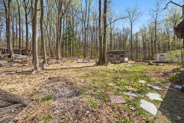 view of yard with an outbuilding and a storage shed