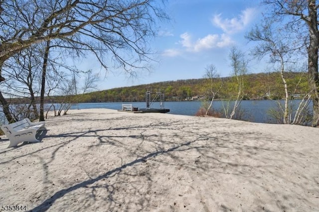 view of yard featuring a water view and a forest view