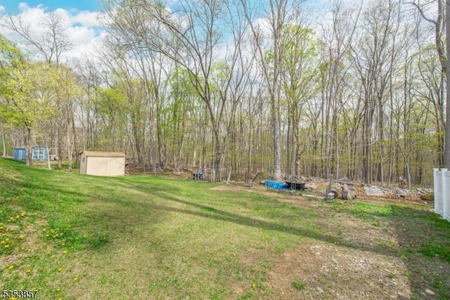 view of yard with an outdoor structure and a shed