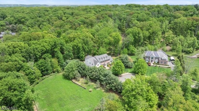 28 Arbor Rd, North Caldwell Boro, NJ 07006 - view of subject property with a forest