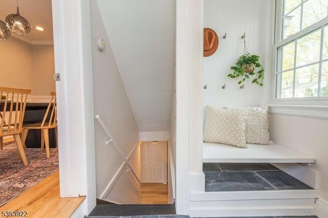 mudroom featuring ornamental molding and wood finished floors