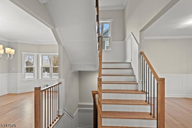 stairs featuring a decorative wall, wainscoting, and wood finished floors