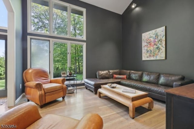 living area featuring high vaulted ceiling and wood finished floors