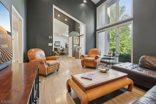 living area with a high ceiling and light wood-style floors