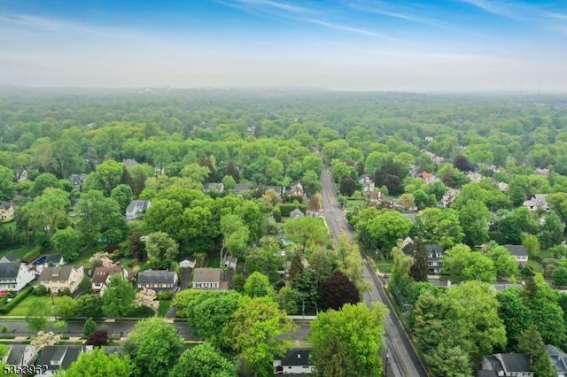 bird's eye view of a forest