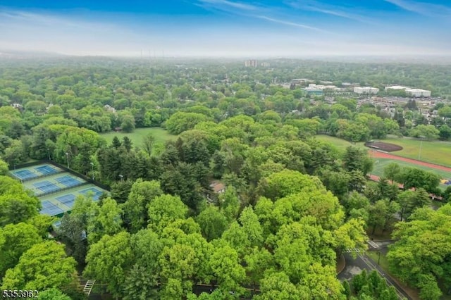 aerial view of a forest