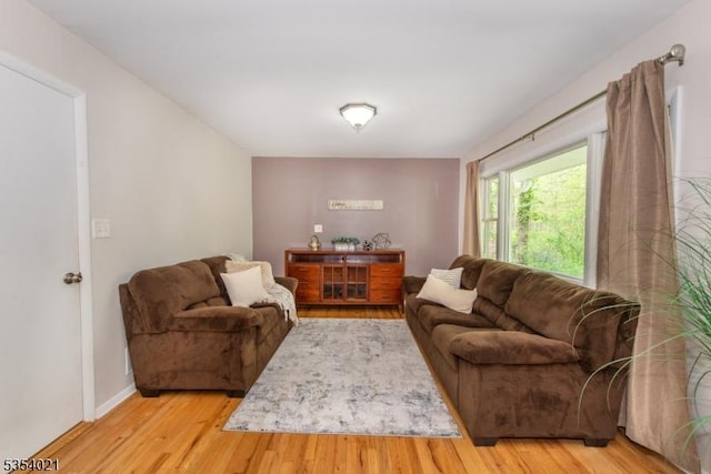 living room with baseboards and wood finished floors