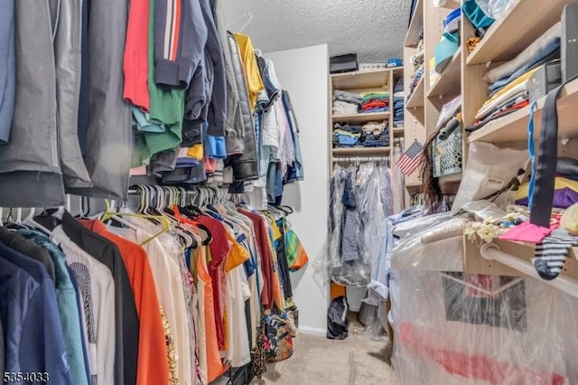 walk in closet featuring carpet floors