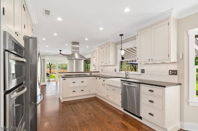 kitchen featuring island exhaust hood, a sink, a peninsula, stainless steel appliances, and dark wood-type flooring